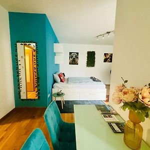 Appartement met een Slaapkamer